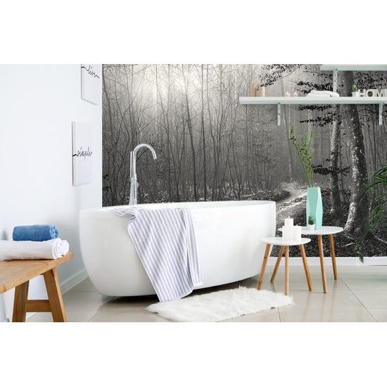 Fotótapéta fekete-fehér meseút az erdőn keresztül