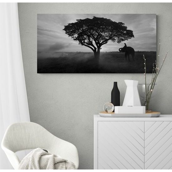 Kép csodálatos elefánt fekete-fehér kivitelben