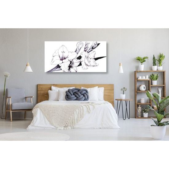 Kép kardvirág minimalista ábrázolása