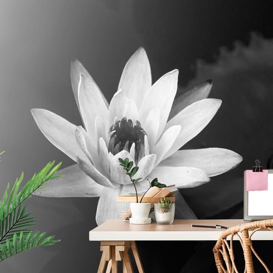 Fekete-fehér tavirózsa öntapadó tapéta