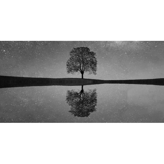 Kép csillagok tükröződése a tó felszínén fekete-fehér kivitelben