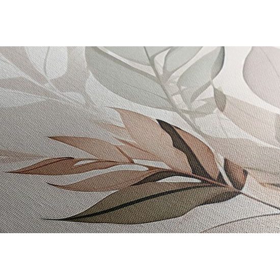 Kép levelek részletes szépsége