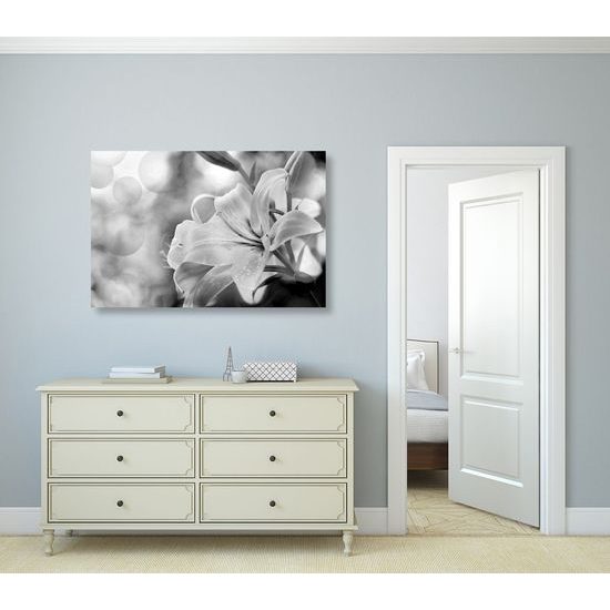 Kép lágy liliom fekete-fehér kivitelben