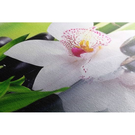 Kép Zen csendélet orchideával