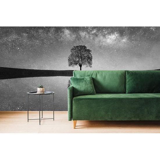 Gyönyörű fekete-fehér öntapadó fotótapéta fa a csillagokkal teli ég alatt