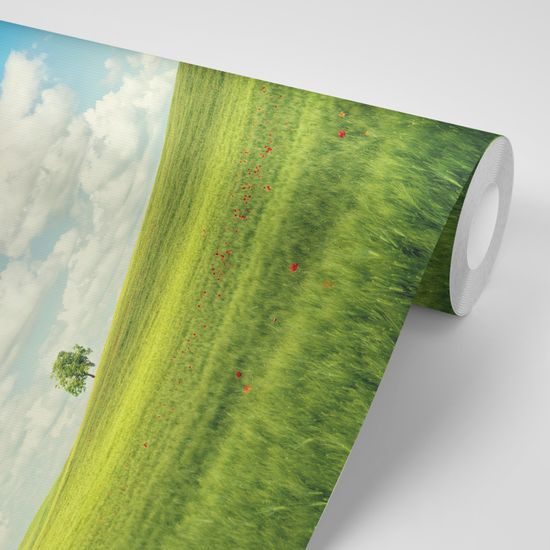 Öntapadó fotótapéta gyönyörű rét