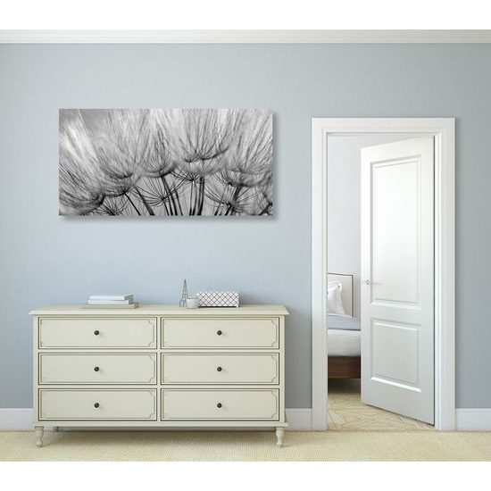 Kép pitypang pontos részletei fekete-fehér kivitelben