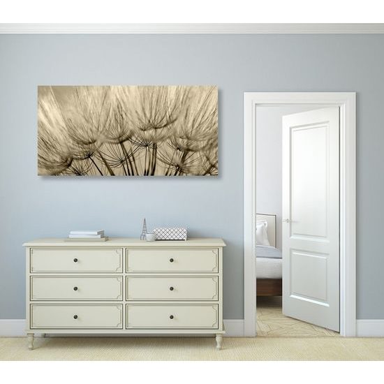 Kép pitypang pontos részletei szépia kivitelben