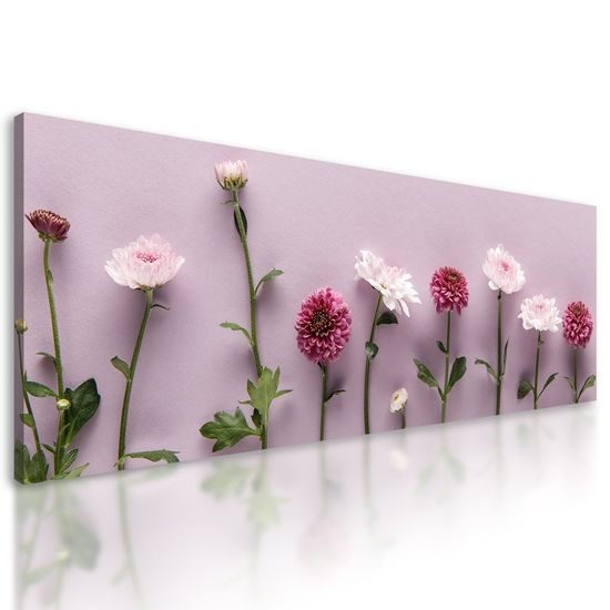 Kép romantikus virágok fáradtrózsaszín háttéren