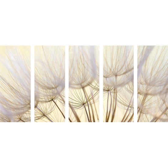 5 részes kép pitypang pontos részletei