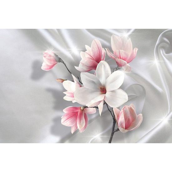 Fotótapéta gyönyörű fehér magnólia virágok