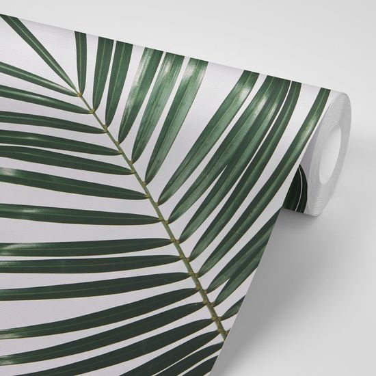 Öntapadó fotótapéta minimalista pálmalevél