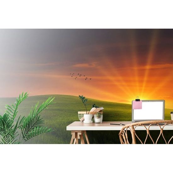 Öntapadó fotótapéta mesebeli rét a lenyugvó nappal