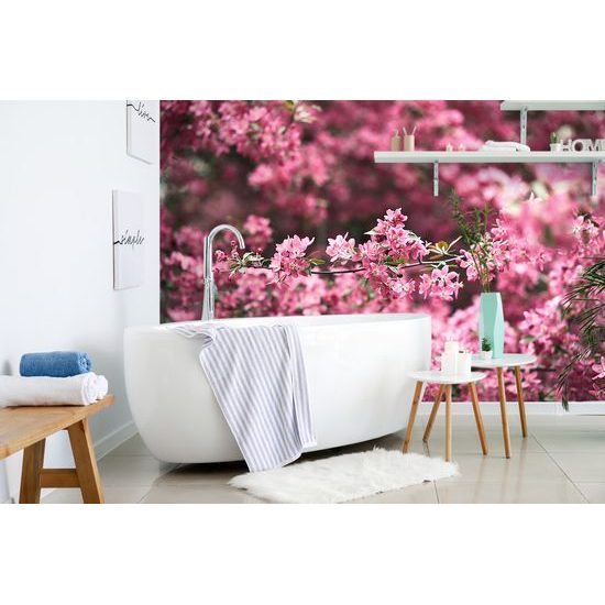 Gyönyörű cseresznyevirágos öntapadó tapéta