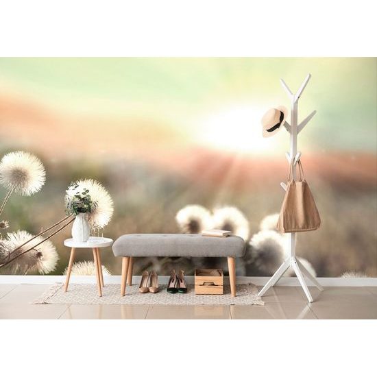 Öntapadó fotótapéta rét napkeltekor