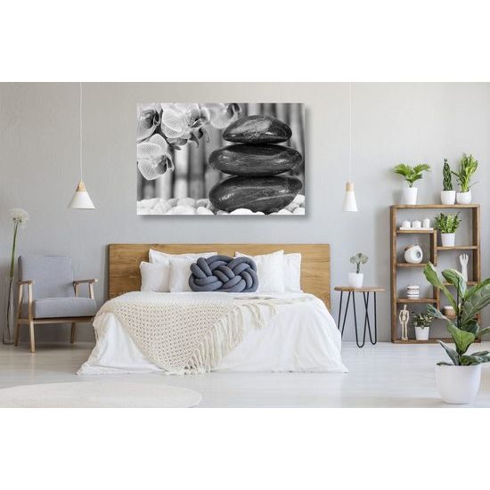 Kép bambusz Zen kert fekete-fehér kivitelben
