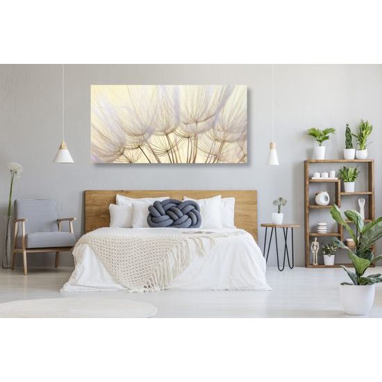 Kép pitypang pontos részletei