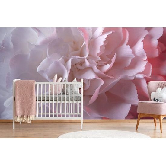 Öntapadó fotótapéta gyengéd rózsaszín szirmok