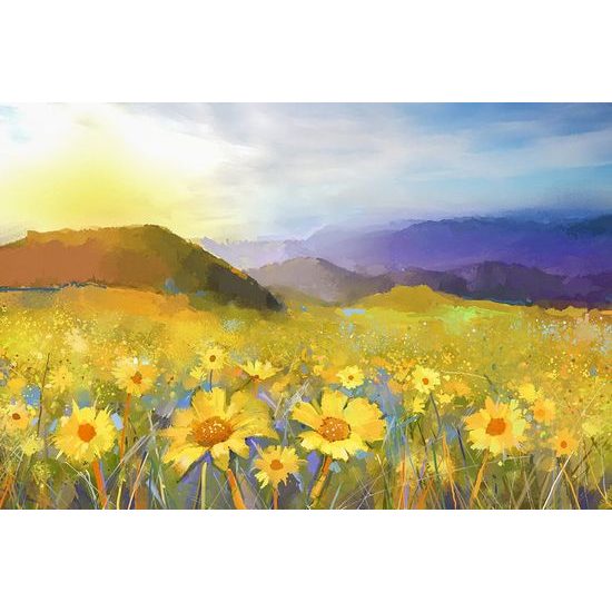 Öntapadó tapéta rét százszorszépek a napsütésben