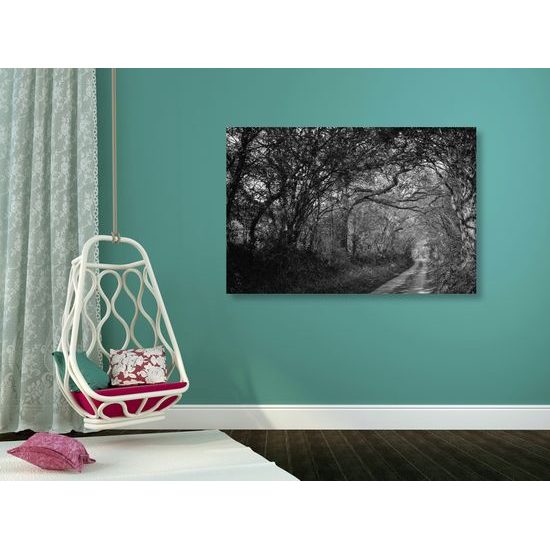 Kép mesébe illő erdő fekete-fehér kivitelben