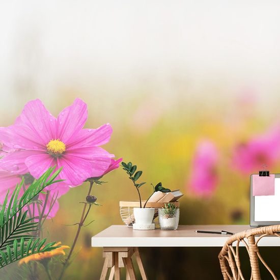 Fotótapéta rózsaszín virág az esőben