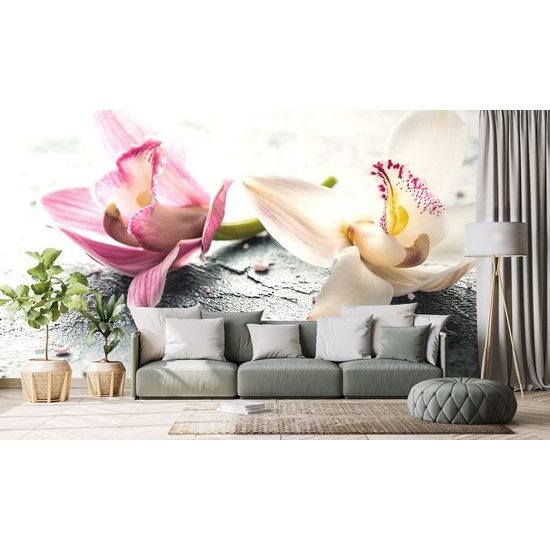 Fotótapéta két színes orchidea virág