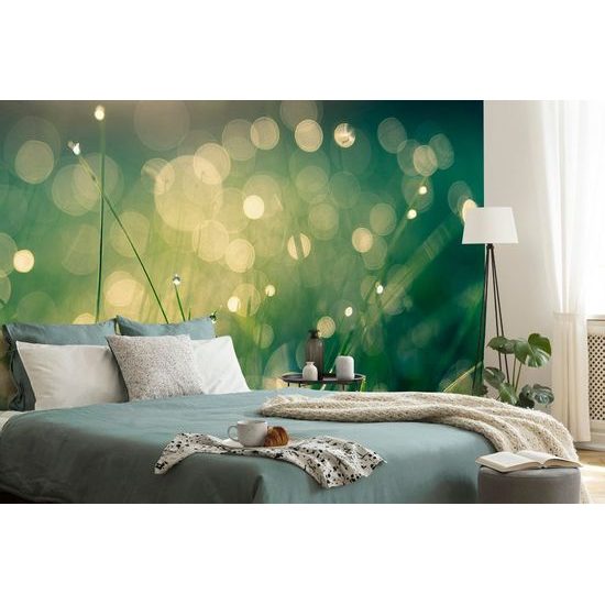 Öntapadó tapéta harmatcseppek a füvön