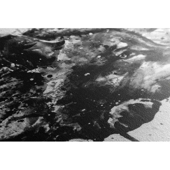 Kép fekete-fehér farkas művészi kivitelben