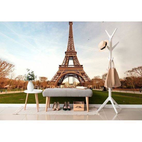 Öntapadó fotótapéta A vaslady Párizsból