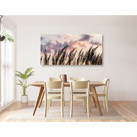 Kép mezei fű égbolt háttérrel