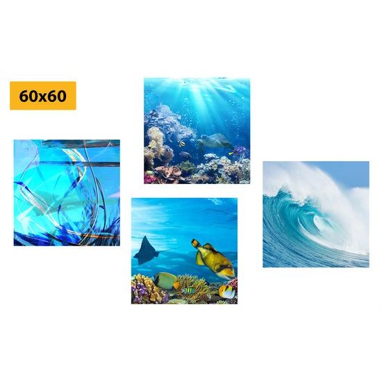 Képszett tengeri élet