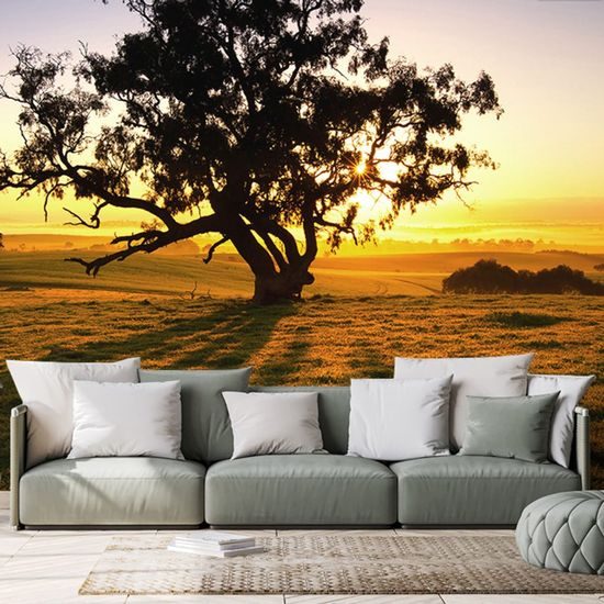 Öntapadó fotótapéta egy hatalmas fa naplementekor