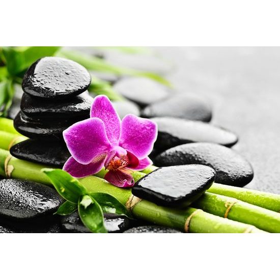 Kép wellness csendélet eső után gyönyörű orchideával