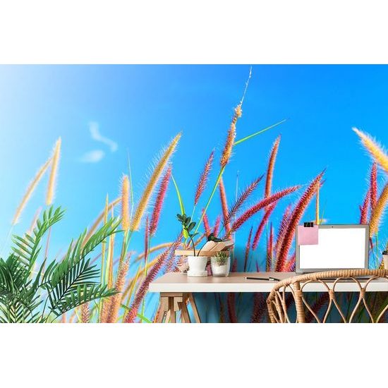 Öntapadó tapéta fű szállak az ég alatt