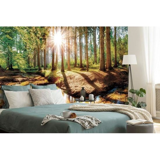 Öntapadó fotótapéta az ébredező erdő