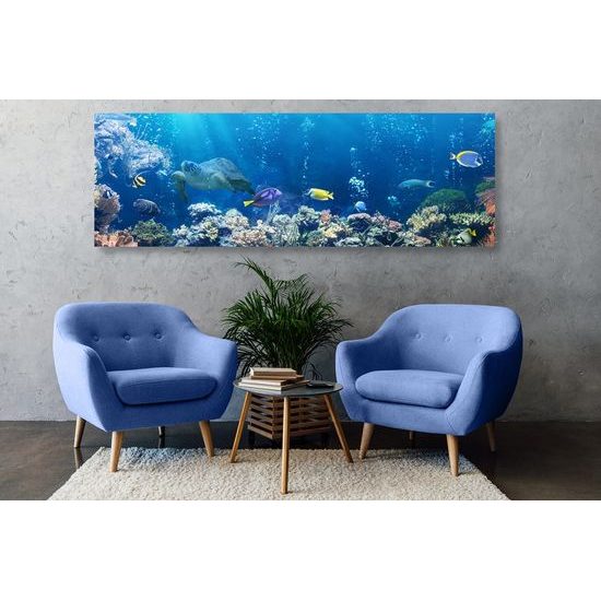 Kép gyönyörű tengeri halak