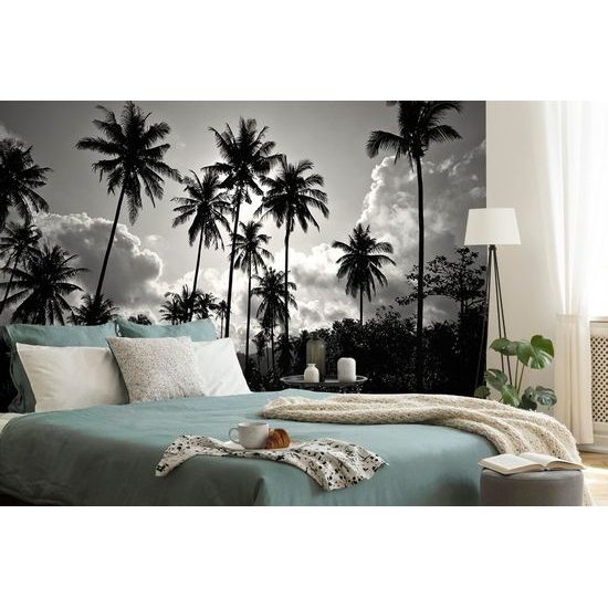 Kókuszpálmák a nap ragyogásában fekete fehér öntapadó fotótapéta