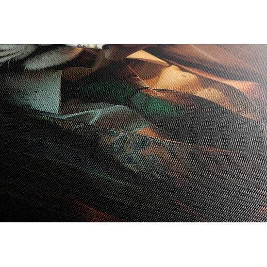 Kép állati gengszter tigris