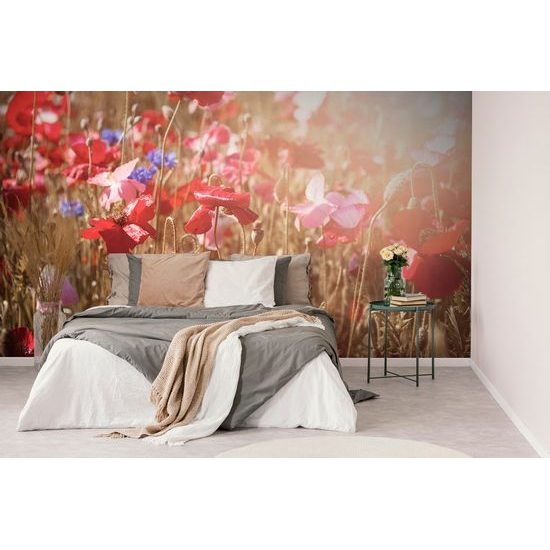 Pipacs öntapadó tapéta a napsugarakban