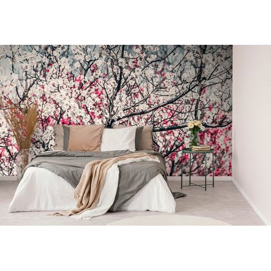 Virágokkal teli barackfa fotótapéta