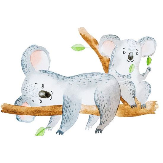 Kép aranyos koalák az ágon