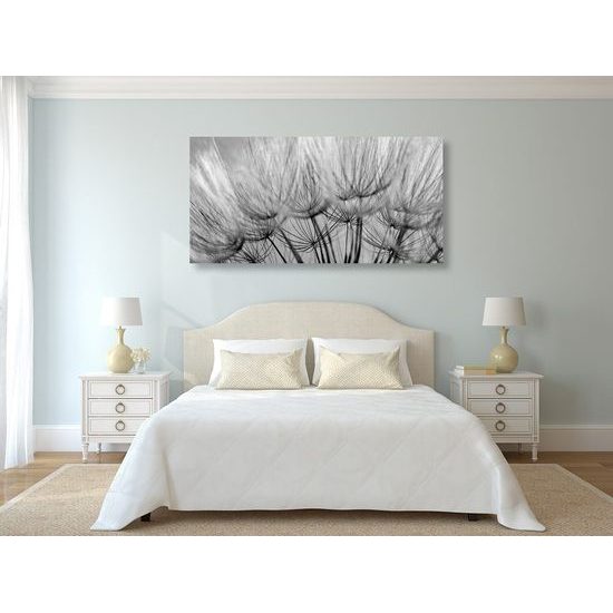 Kép pitypang pontos részletei fekete-fehér kivitelben