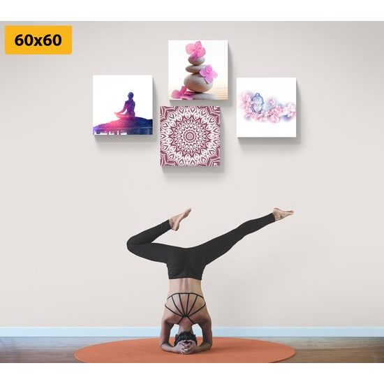 Képszett lelkek harmóniája rózsaszín tónusokban