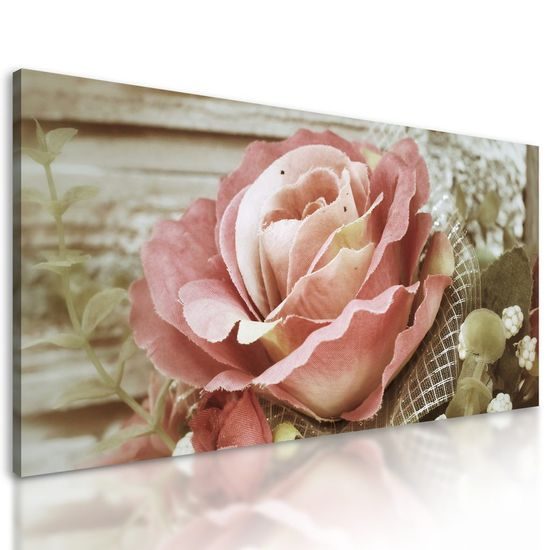 Kép csodálatos rózsaszín rózsa