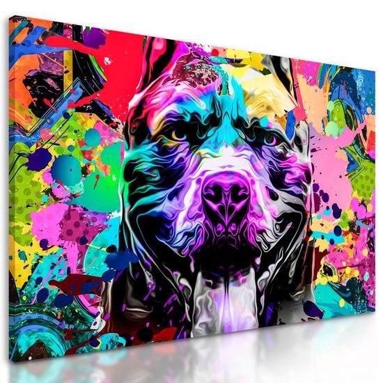 Kép kutya sokszínű kivitelben