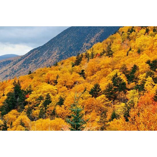 Gyönyörű természet öntapadó fotótapéta őszi színekben