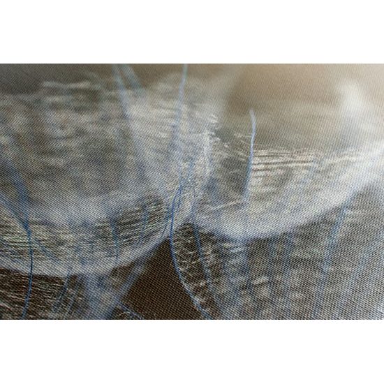 Kép pitypang részletei művészi kivitelben