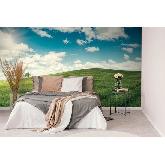 Öntapadó fotótapéta gyönyörű rét