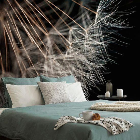 Öntapadó tapéta pitypang magvak részlete