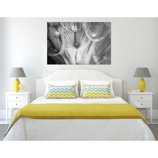 Kép absztrakt pitypang fekete-fehér kivitelben